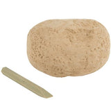 La Luna Bella 3" Dinosaur Fossil Egg - Tadpole