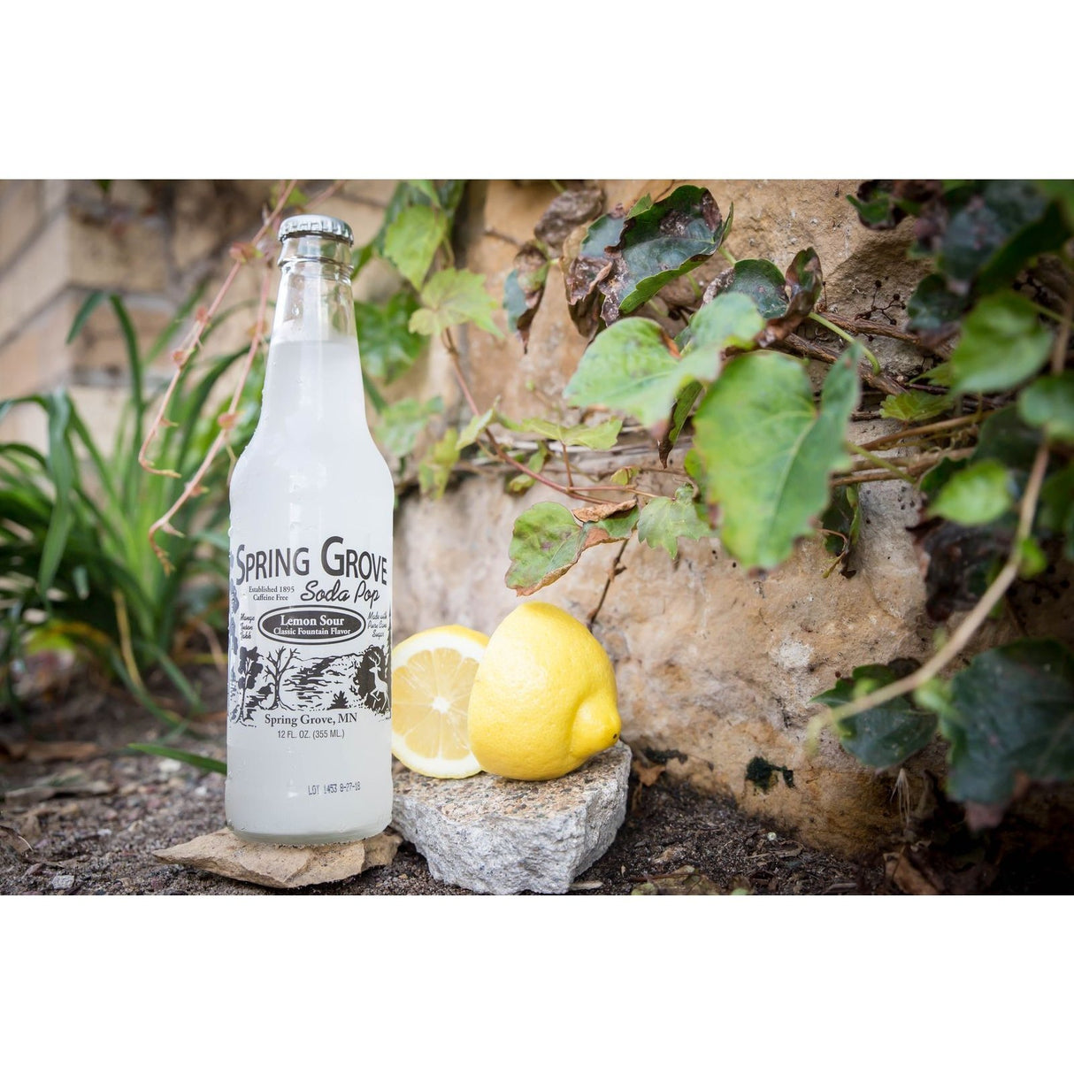 Lemon Sour Spring Grove Soda Pop - Tadpole