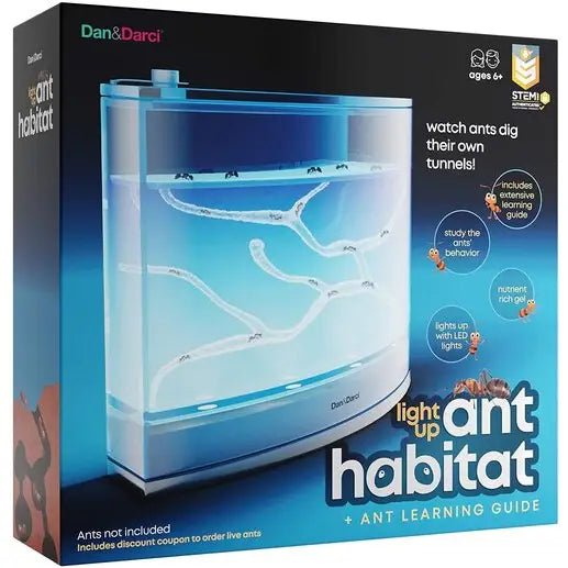Light-Up Ant Habitat - Tadpole