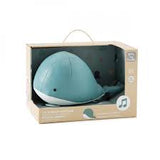 Little Big Friends Musical Friends - Tadpole