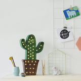Little Lights Cactus Lamp - Tadpole