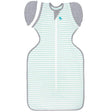 Love To Dream Swaddle Up Transitions Bag - Tadpole