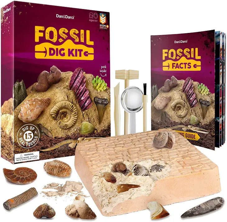 Mega Fossil Dig Kit - Tadpole
