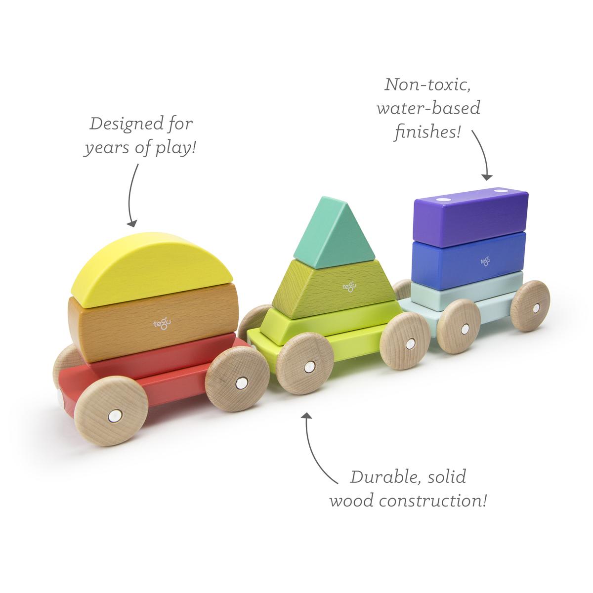 Tegu Shape Train 9pc - Tadpole