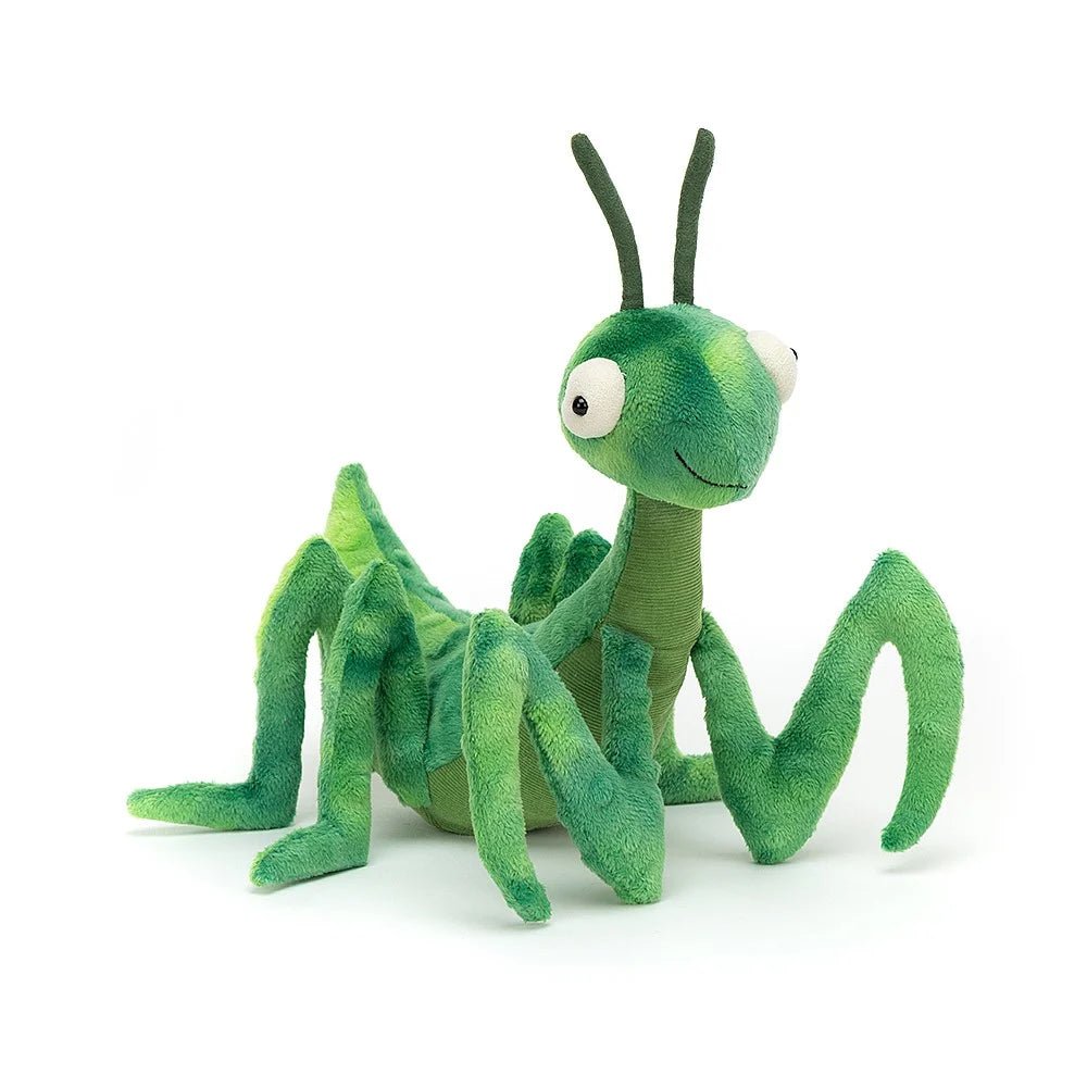 Penny Praying Mantis - Tadpole