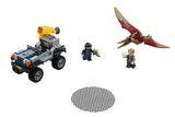 Pteranodon Chase - Tadpole