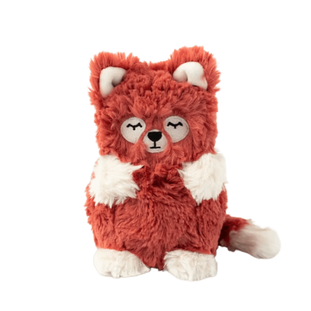 Red Panda Mini & Yak Lesson Book - Tadpole