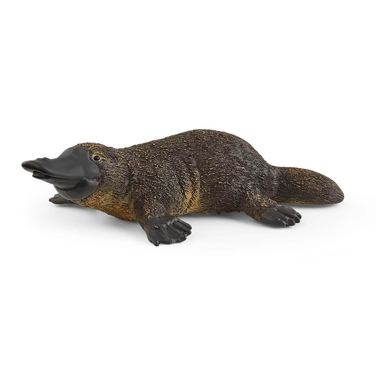 Schleich Platypus - Tadpole