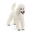 Schleich Poodle - Tadpole