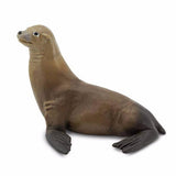 Sea Lion - Tadpole