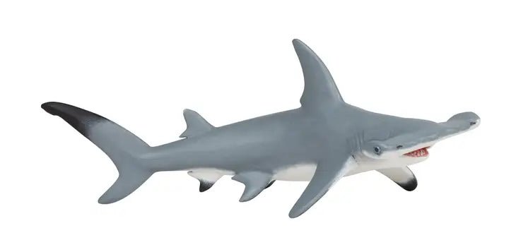 Shark - Hammerhead Shark - Tadpole