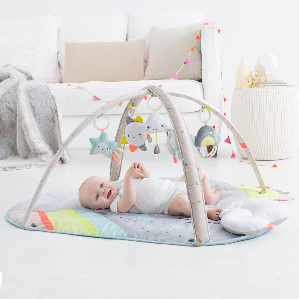 Skip Hop Silver Lining Cloud Activity Gym - Tadpole