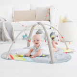 Skip Hop Silver Lining Cloud Activity Gym - Tadpole