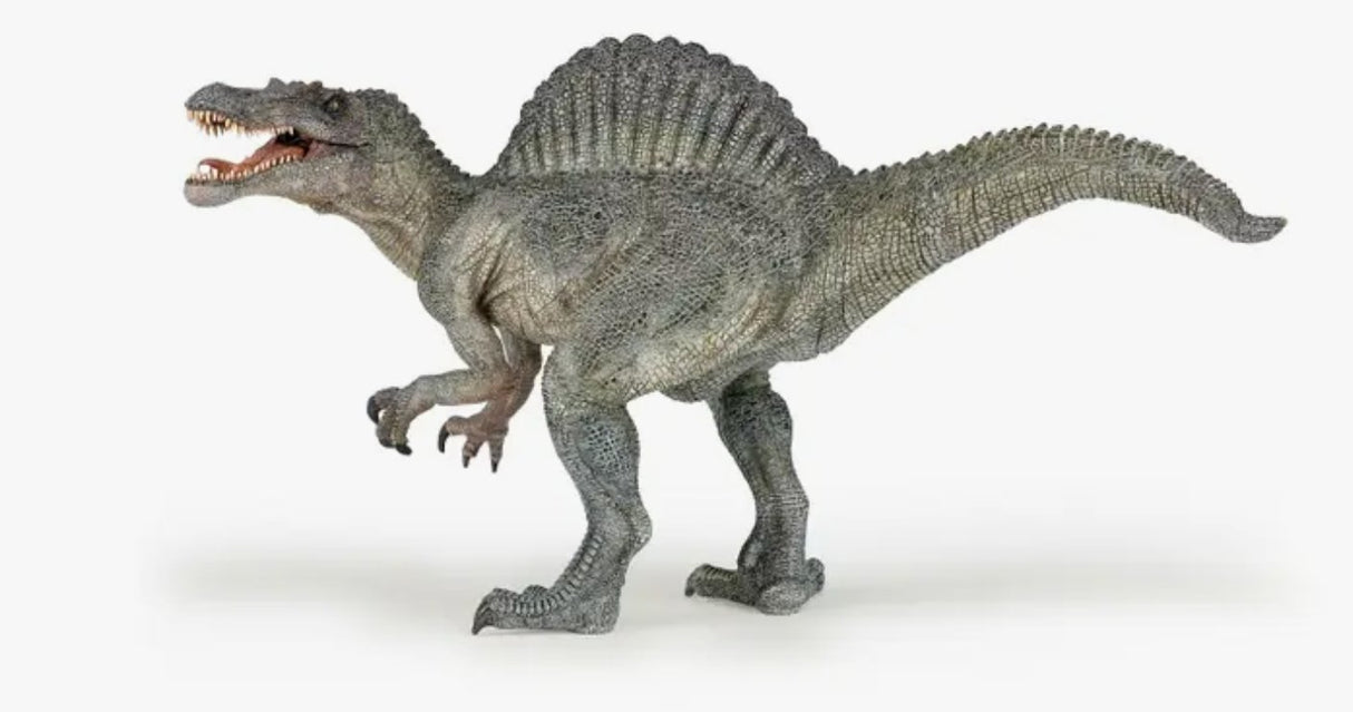 Spinosaurus - Tadpole
