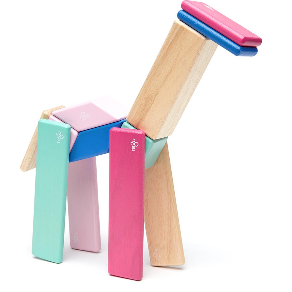 Tegu 14-Piece Magnetic Block Set - Blossom - Tadpole