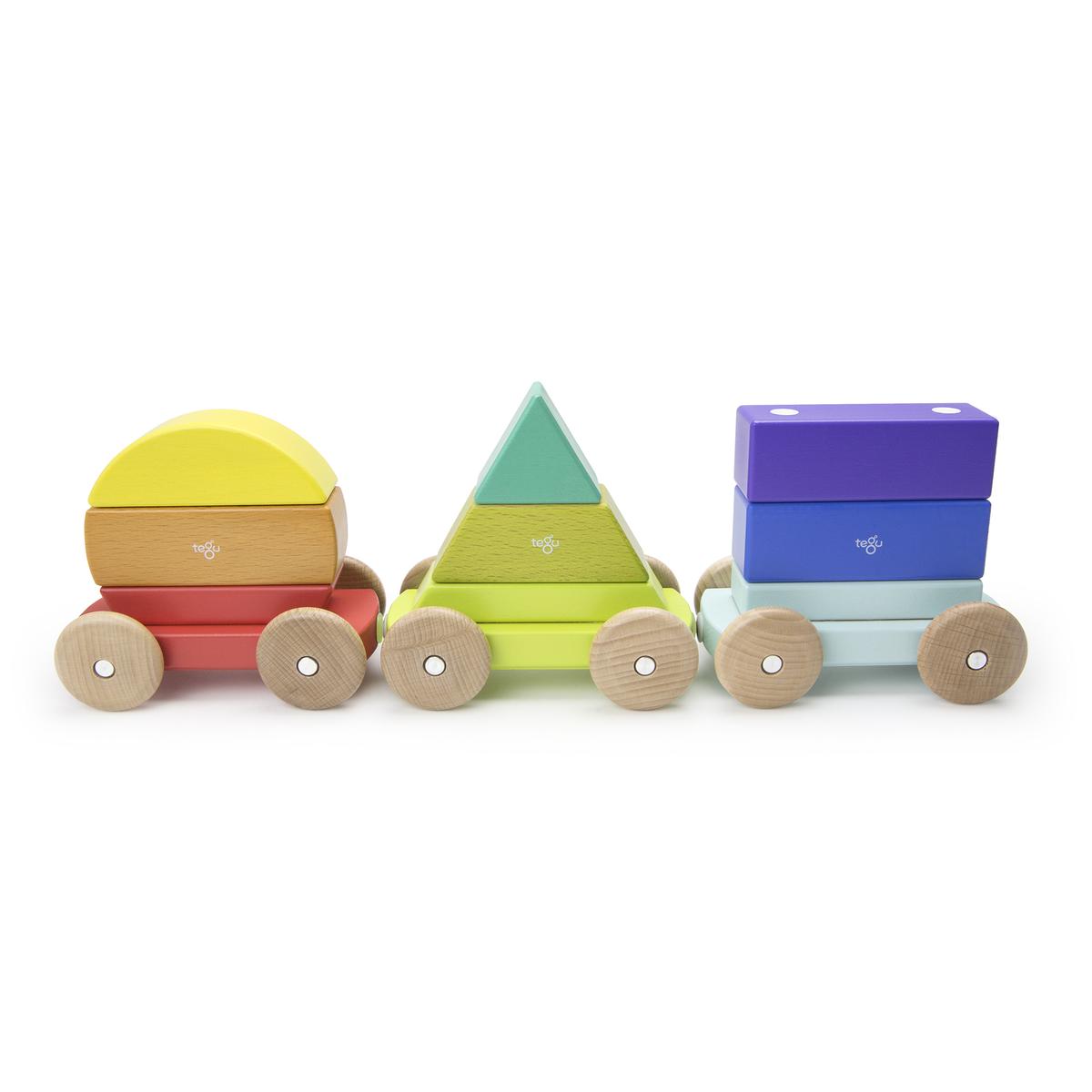 Tegu Shape Train 9pc - Tadpole