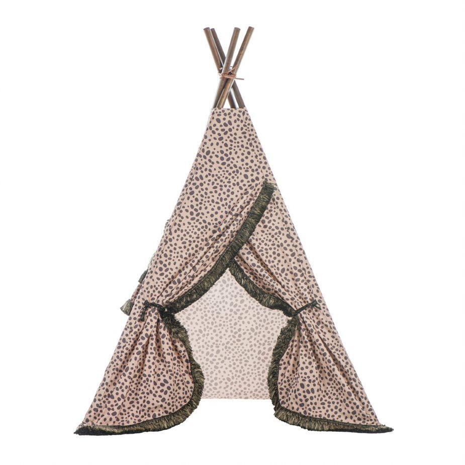 Tent of Dreams - Tadpole