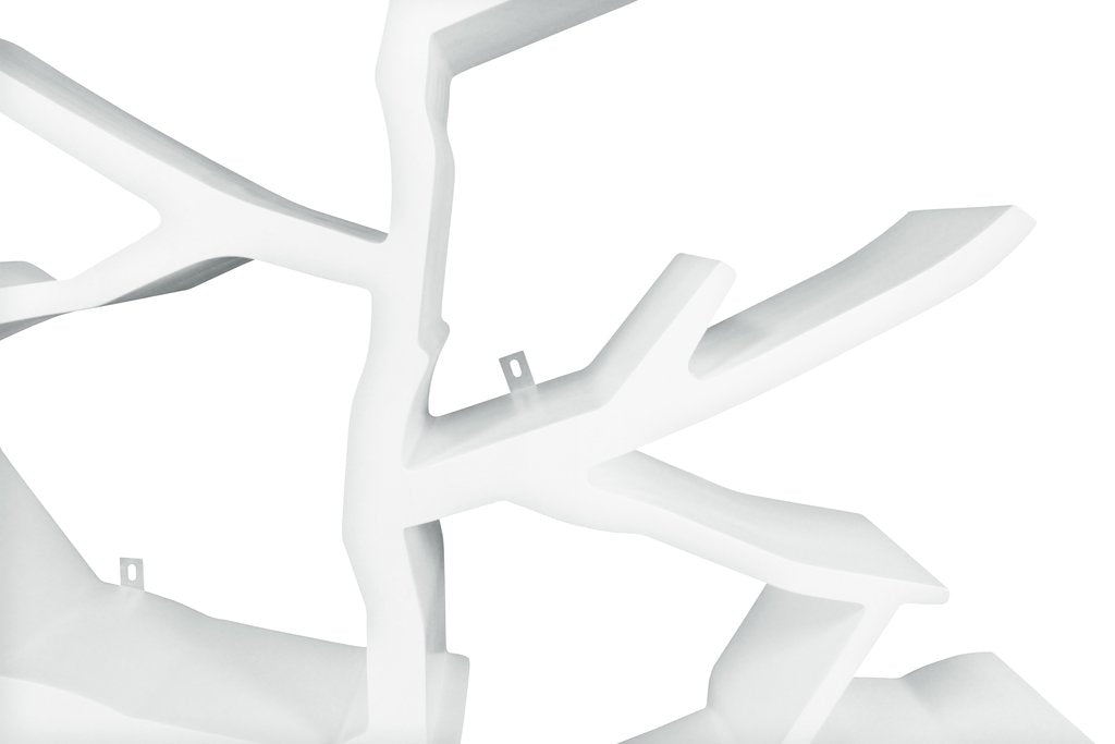 Tree Bookcase - Tadpole