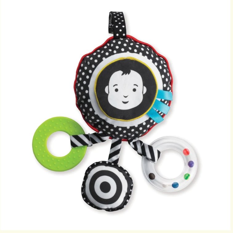 Wimmer-Ferguson Sights & Sounds Travel Toy - Tadpole